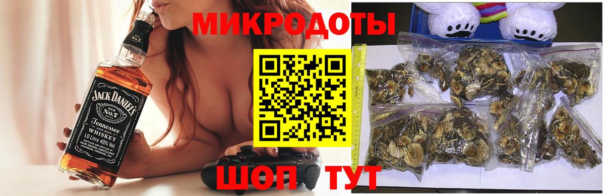 Галлюциногенные грибы Psilocybine cubensis  Вход с VPN  Нарткала 