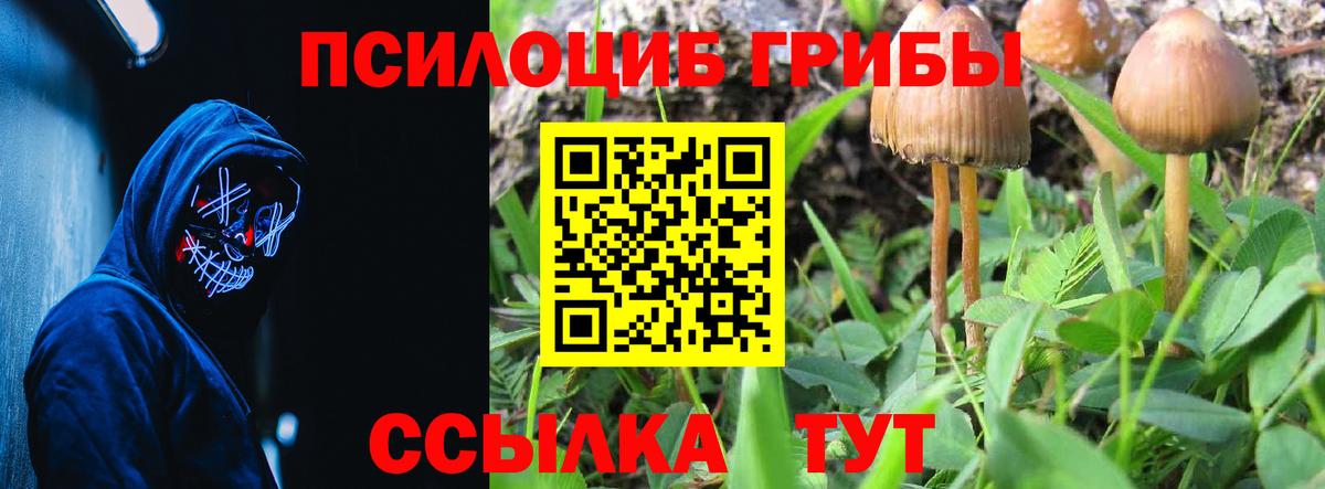 Псилоцибиновые грибы прущие грибы Нарткала